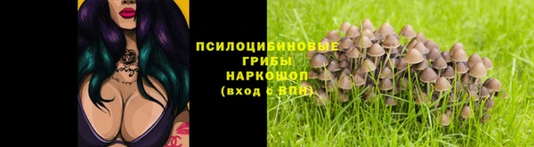 ALPHA PVP Алексин