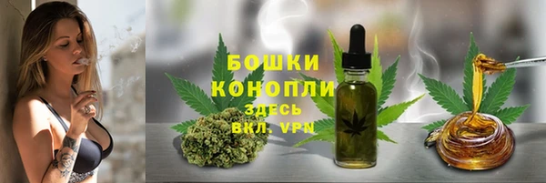 бошки Вязьма