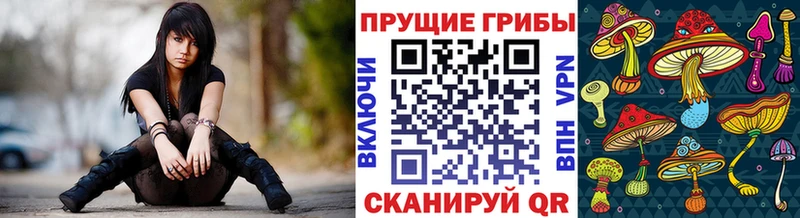 kraken   купить наркоту  Ермолино  Галлюциногенные грибы Cubensis 